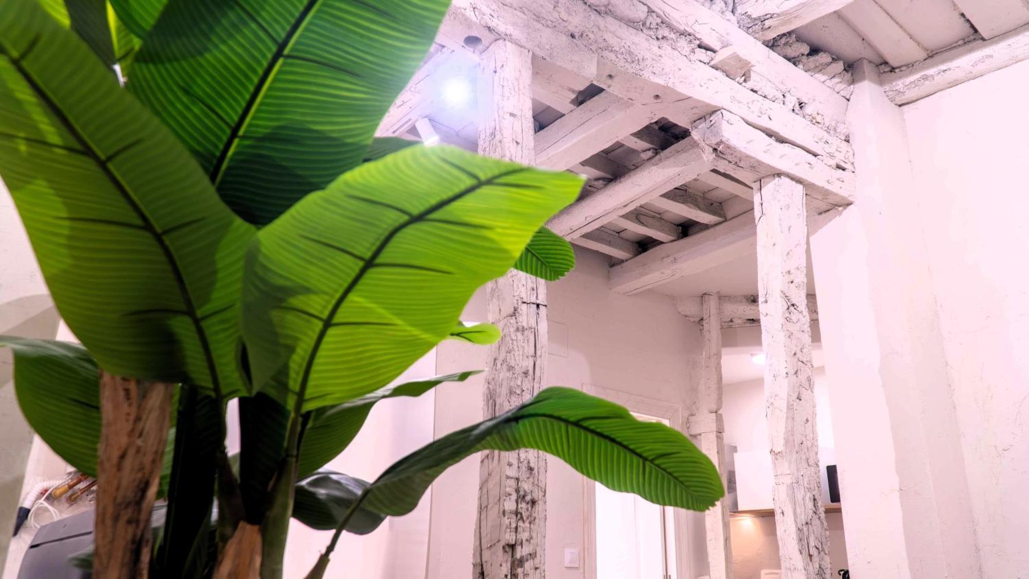 Apartamentos Carolina By Gaiarooms León Buitenkant foto